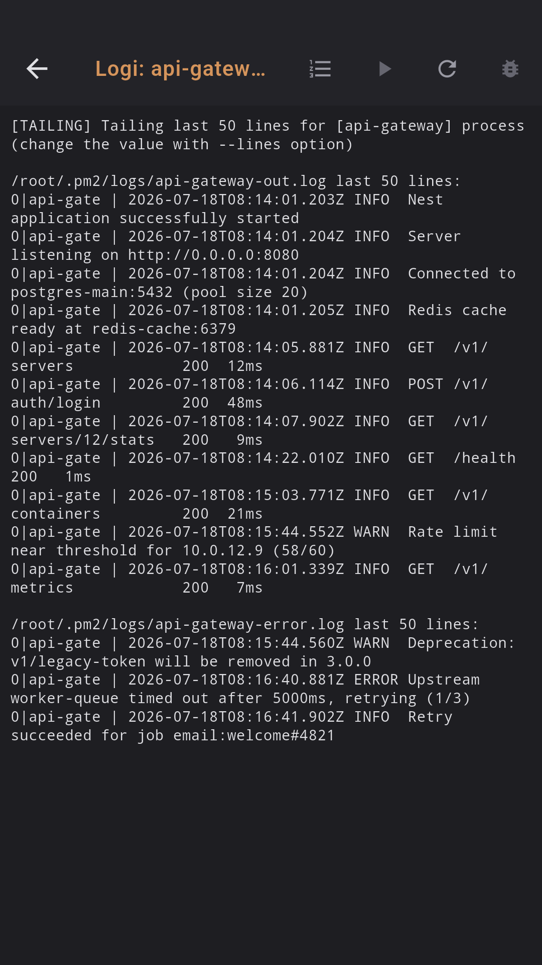 PM2 Logs